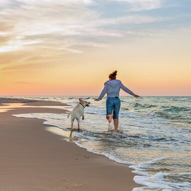 Ferienwohnungen am Strand – ideal für Urlaub mit Hund auf Usedom.