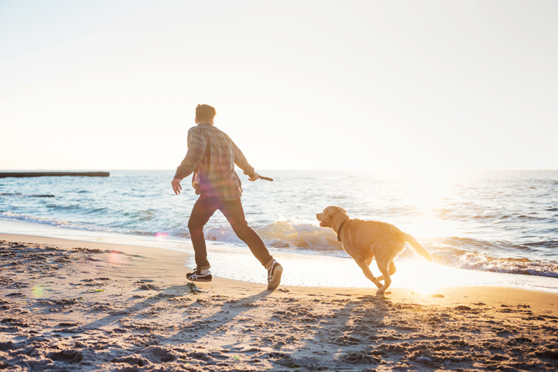 Ein Mann spielt mit einem Hund am Strand auf Usedom